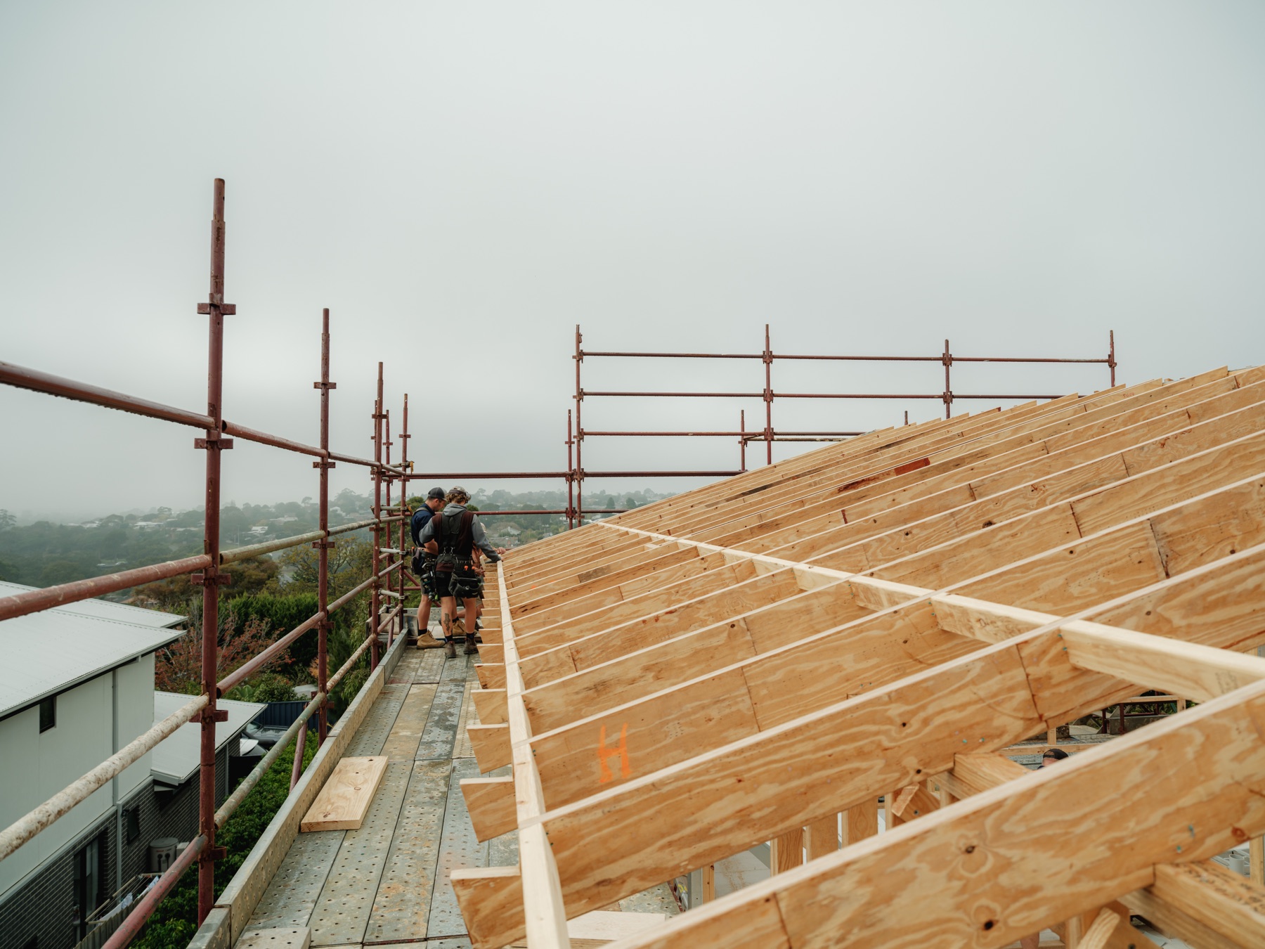Lichen Grove, Highton — builders working on the roof frame
