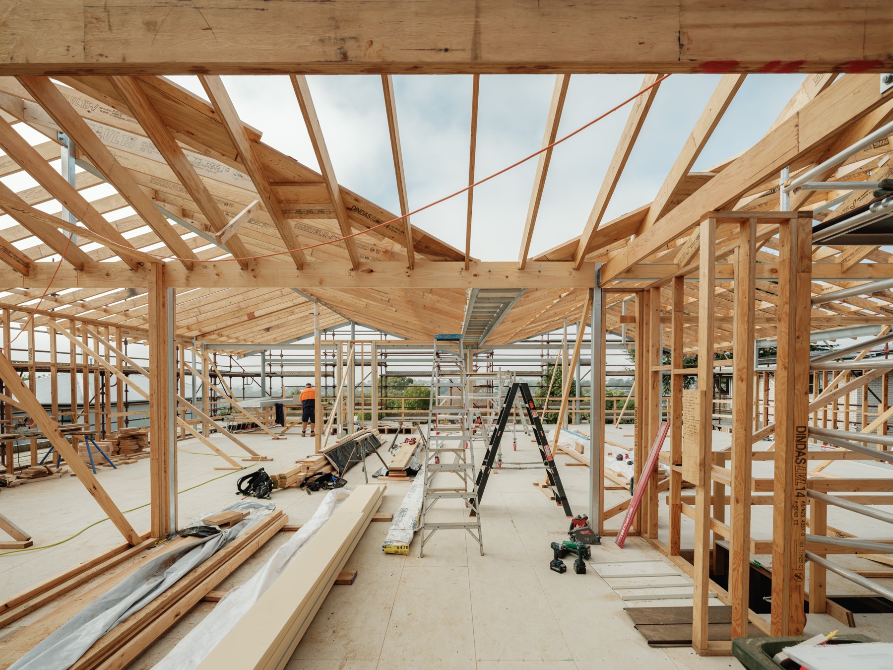 Lichen Grove, Highton — interior frame, curved roof structure